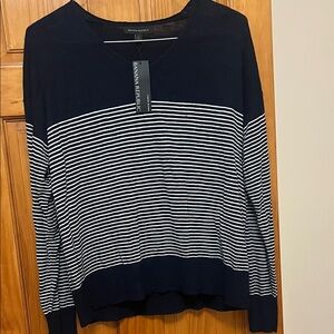 Banana Republic Women's V-Neck Sweater in Navy and White